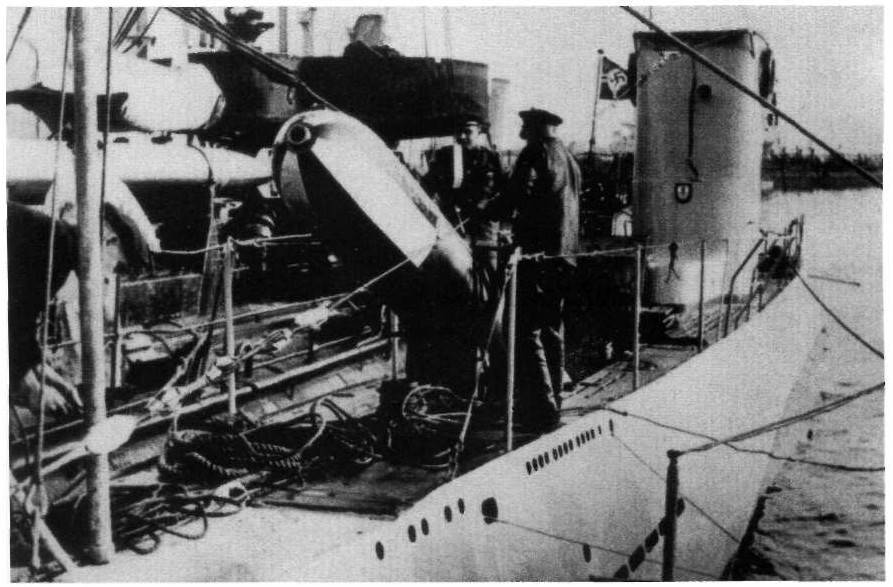 Trois lamas dans le désert en Bolivie.