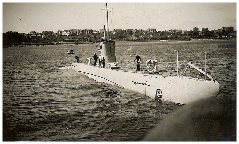 Trois lamas dans le désert en Bolivie.