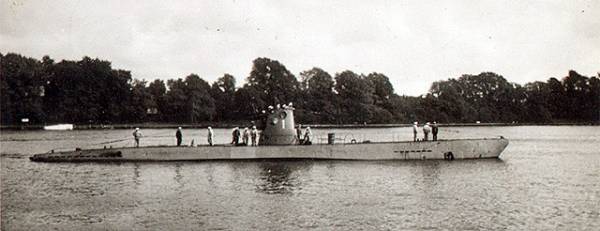 Trois lamas dans le désert en Bolivie.