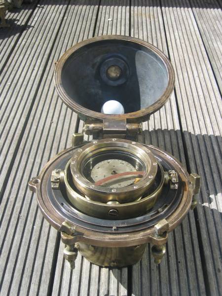 Trois lamas dans le désert en Bolivie.