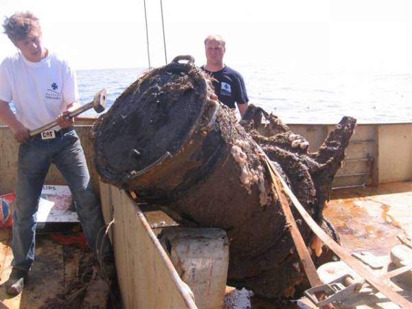 Trois lamas dans le désert en Bolivie.