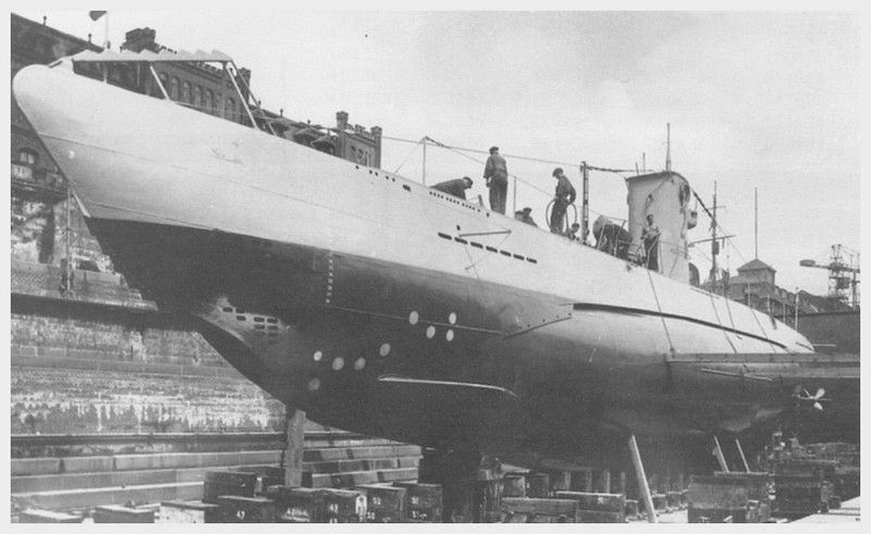 Trois lamas dans le désert en Bolivie.