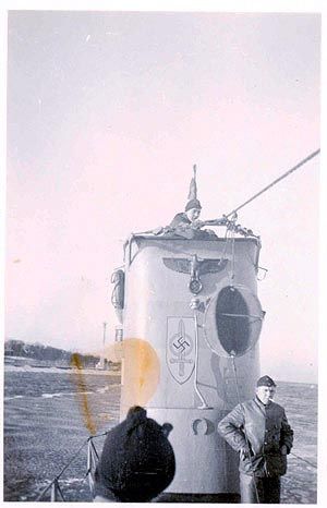 Trois lamas dans le désert en Bolivie.