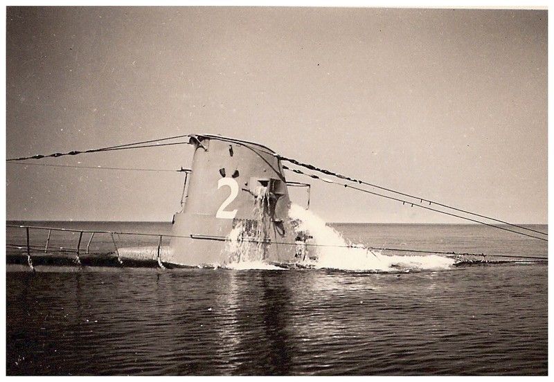 Trois lamas dans le désert en Bolivie.