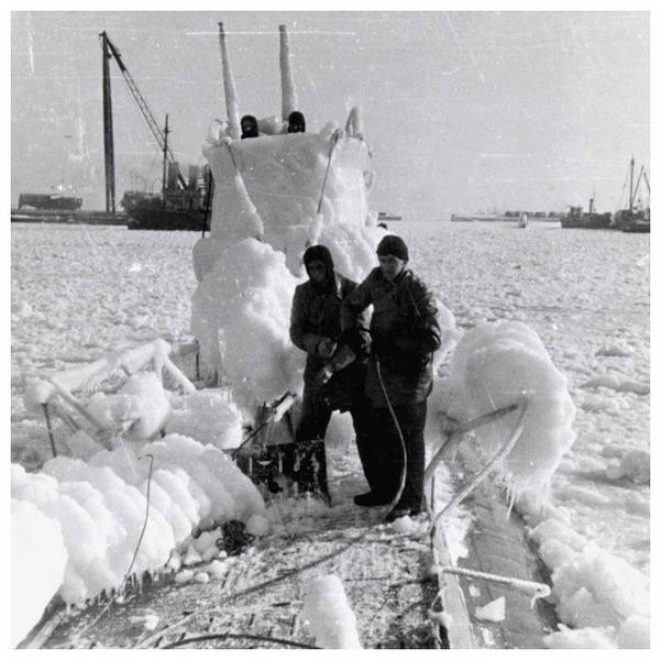 Trois lamas dans le désert en Bolivie.