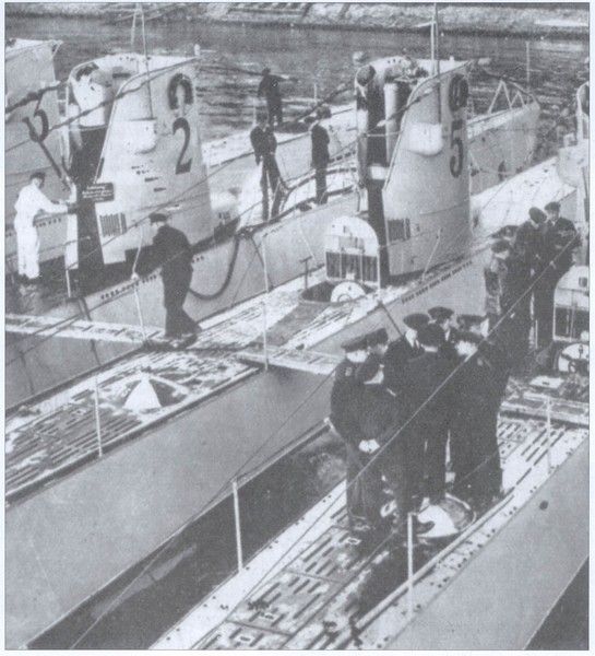 Trois lamas dans le désert en Bolivie.