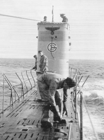 Trois lamas dans le désert en Bolivie.