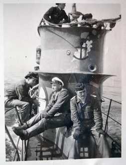 Trois lamas dans le désert en Bolivie.