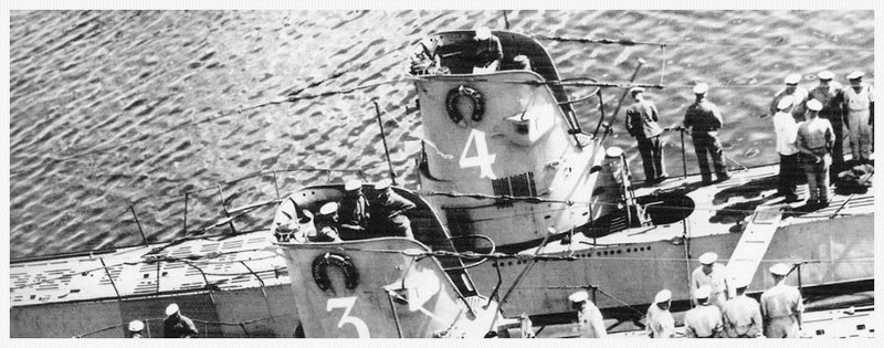 Trois lamas dans le désert en Bolivie.