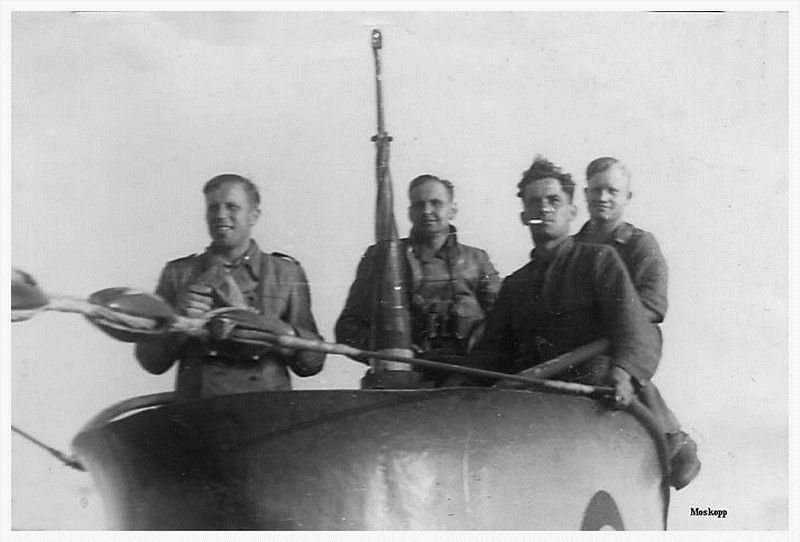 Trois lamas dans le désert en Bolivie.