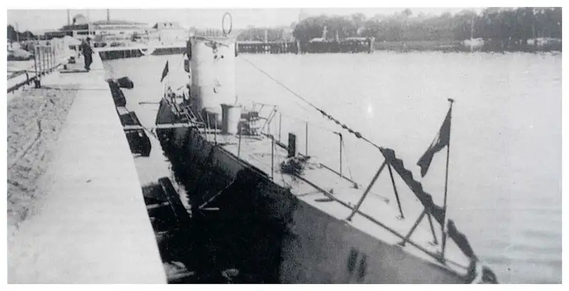 Trois lamas dans le désert en Bolivie.