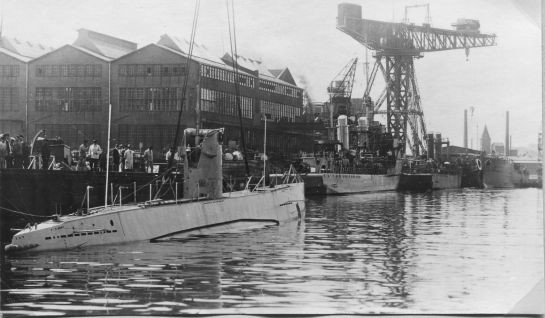 Trois lamas dans le désert en Bolivie.